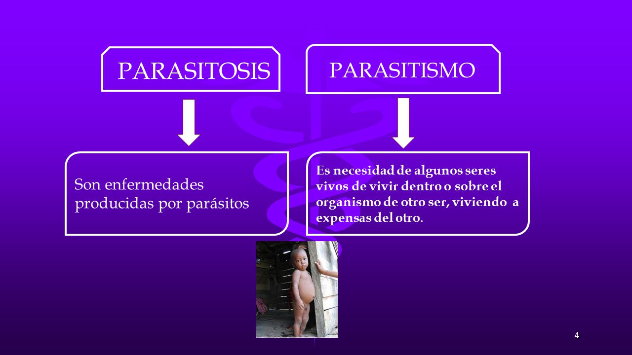 La limpieza de los parásitos por las lavativas
